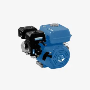 Gasoline Engine