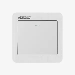 Switch (1-Gang)