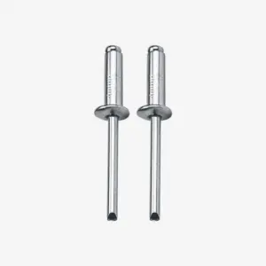 Rivet