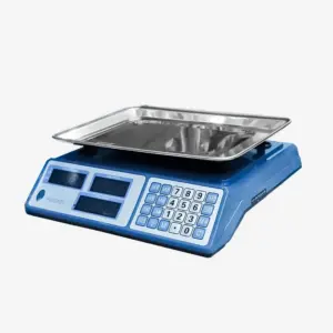 Electronic Scale