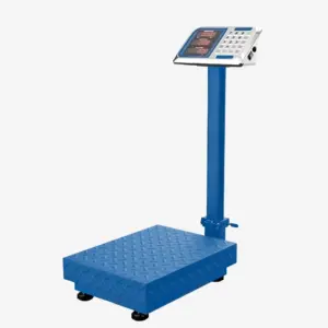 Electronic Scale