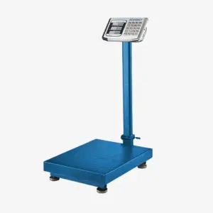 Electronic Scale